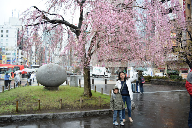 japan-tokyo-ueno-cherry-blossoms
