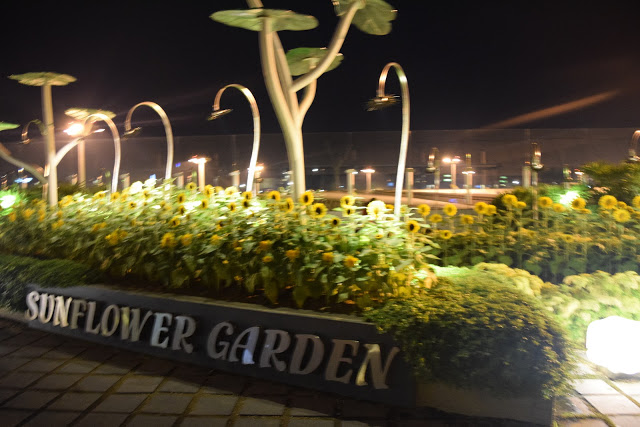 singapore-changi-airport-sunflower-garden